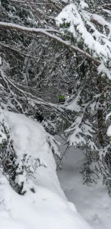 Zllertal 2019  1 von 187 