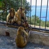 Morocco13  18 von 105 