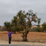 Morocco13  42 von 105 