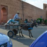 Morocco13  48 von 105 