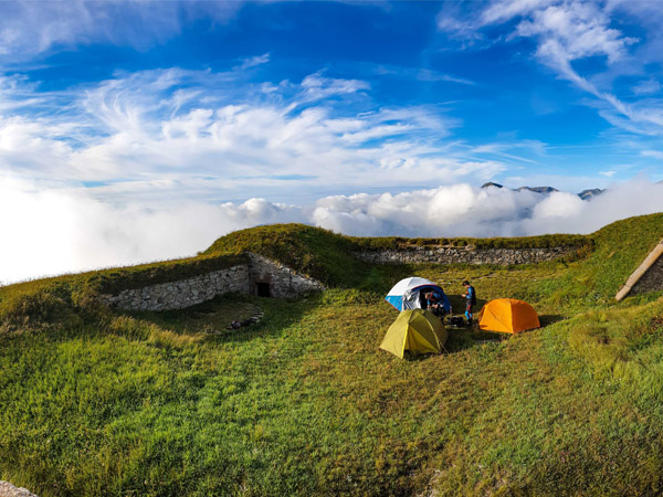 This image for Image Layouts addon